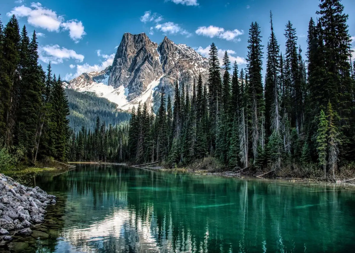 Green Forest Mountain Deep Blue Lake Bring Beauty Into Your Home