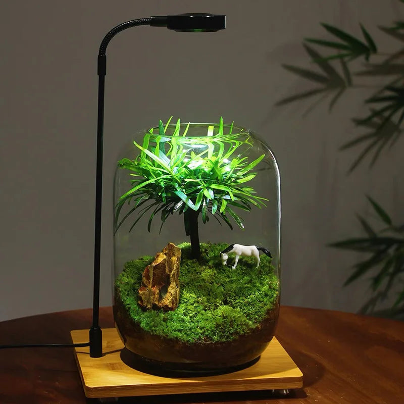1PC Glass Vase, Uses Fish Tank, Moss Garden Display