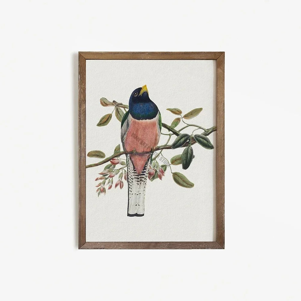 Vintage Bird Art Print Poster Antique Bird Sketch Wall Art Canvas Painting Vintage Country Bird Neutral Farmhouse Room Decor