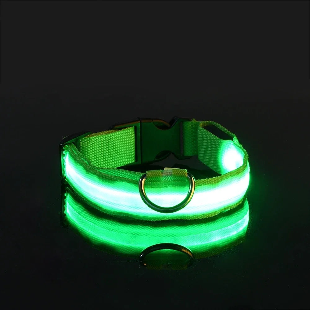 Dog Night Safety Glow In The Dark Collar