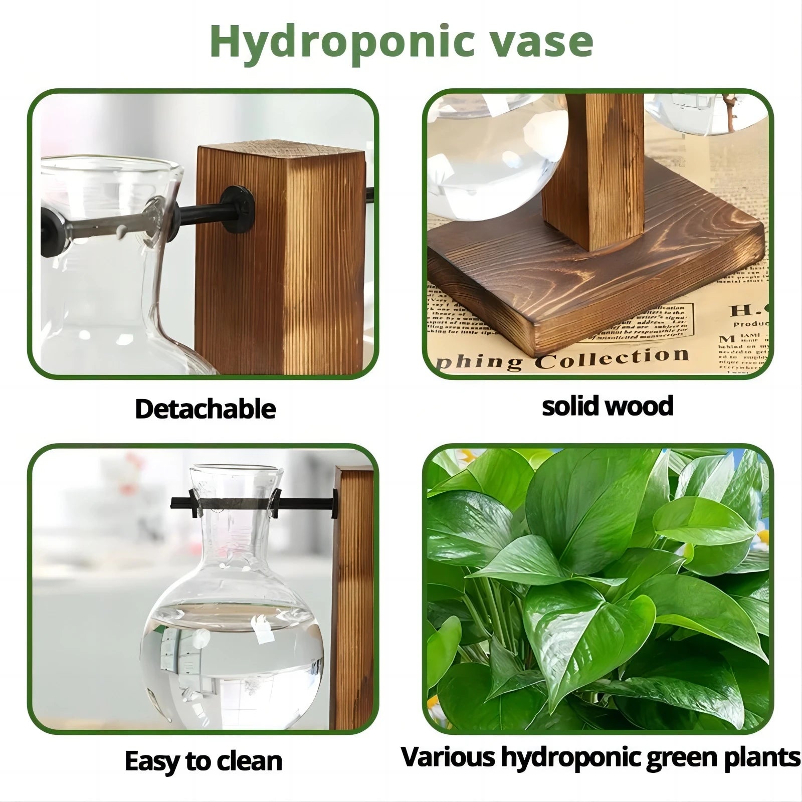 Desktop Planter Bulbs With Stand