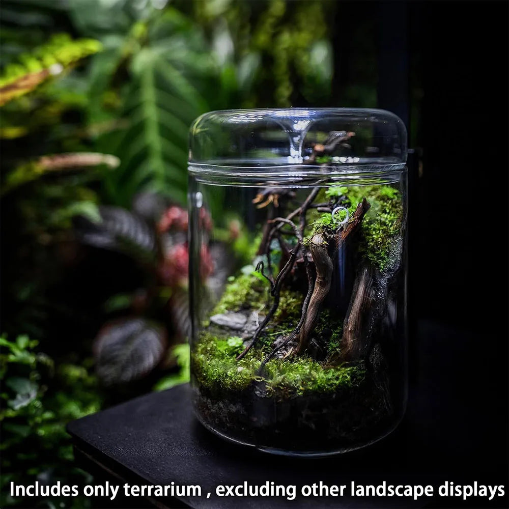 Glass Bottle for Creativity Dew Garden Micro Landscape