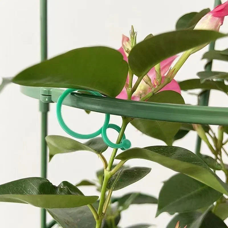 50/100Pc Garden Plant Clips Holds Plants Upright, Vine Support