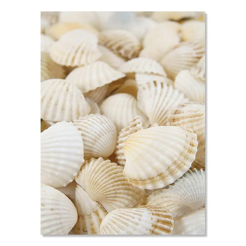 Beaches Weaves Ocean Seagulls Turtles Beautiful Canvas Paintings