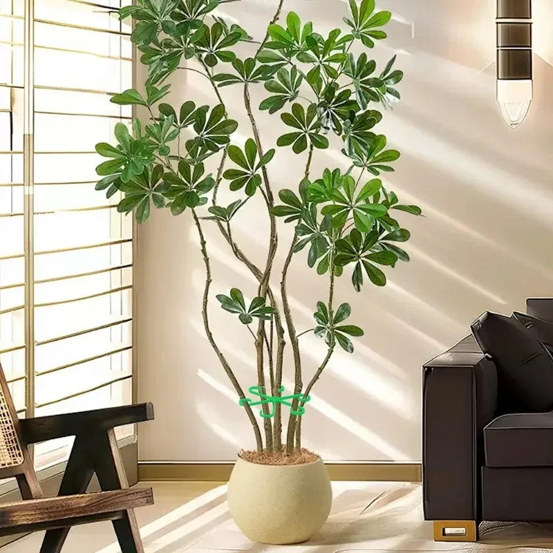Plant Supports for Climbing Plants, Supports for Plant Stems, No Stake Trellis