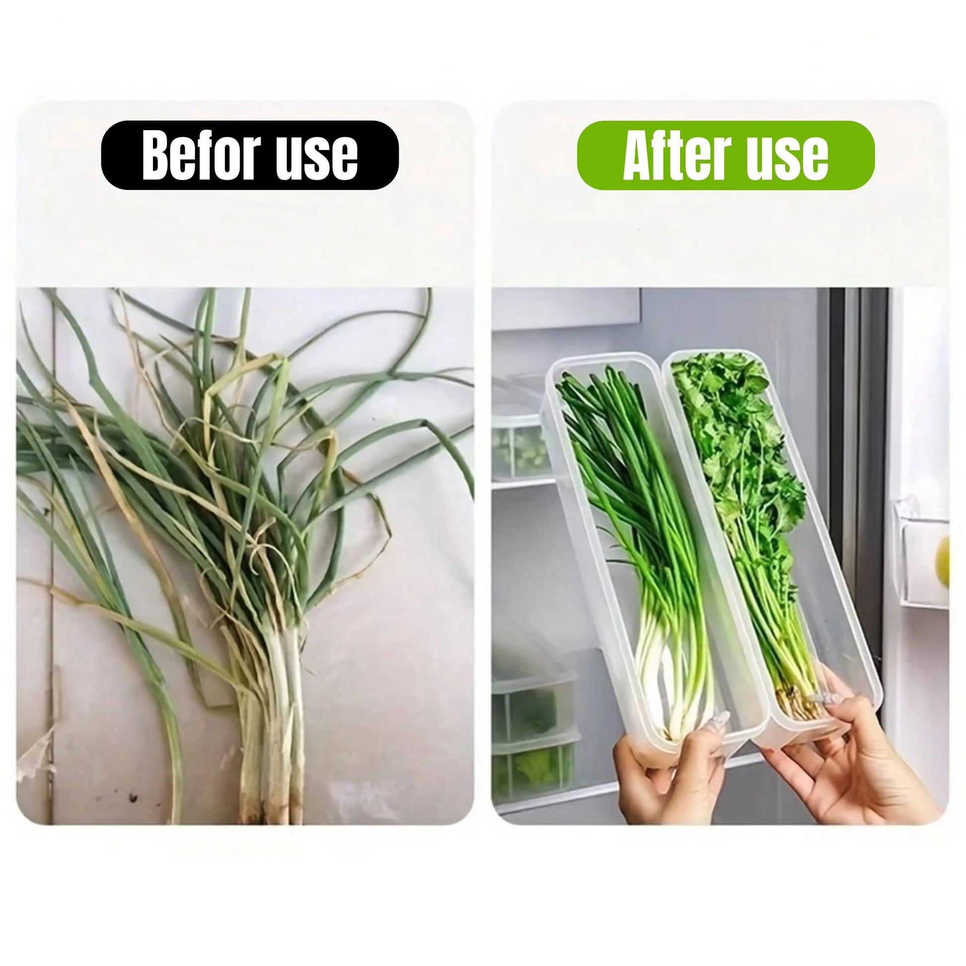 Refrigerator Storage Boxes with Lid, Plastic Sealed Container