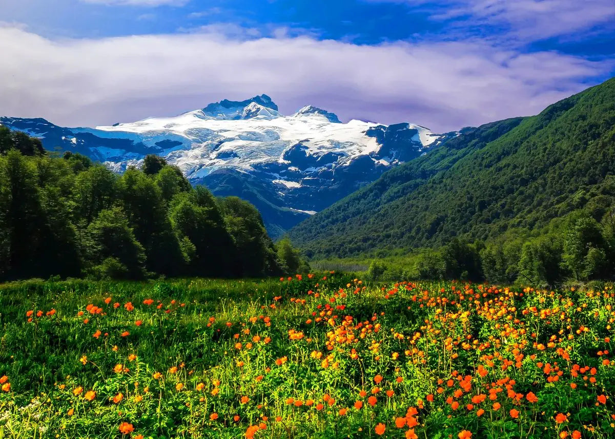 Green Forest Mountain Deep Blue Lake Bring Beauty Into Your Home