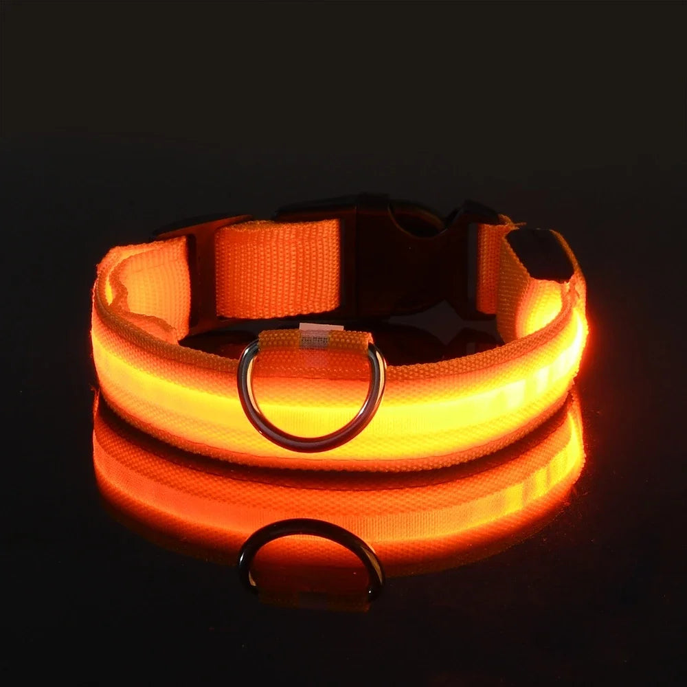 Dog Night Safety Glow In The Dark Collar