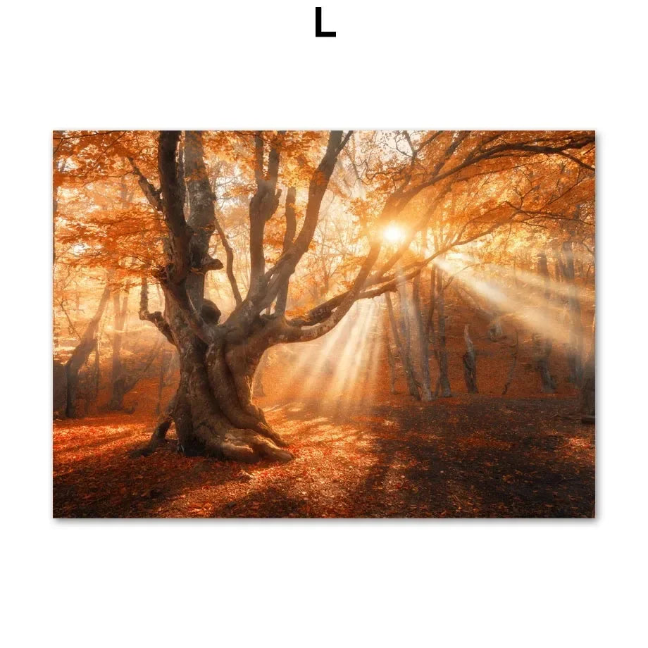 Wall Art Canvas Print Autumn Lake Sunshine Through Tree Maple