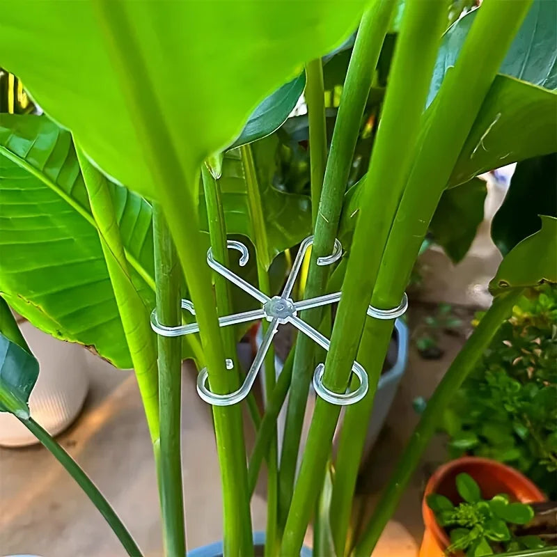 Plant Supports for Climbing Plants, Supports for Plant Stems, No Stake Trellis