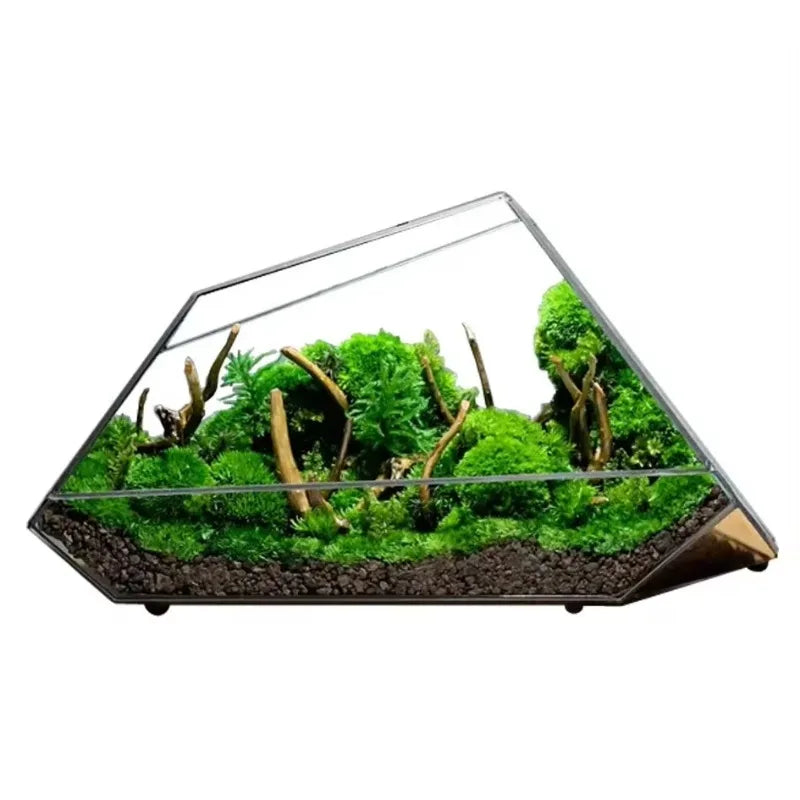 Glass Hydroponic Rainforest Terrarium, Geometric Moss Planter