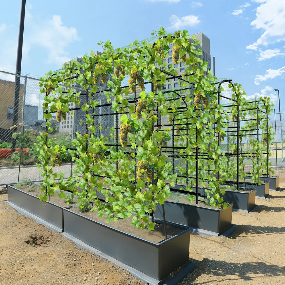 U-Shaped Metal Trellis, Support Frame For Climbing Plants