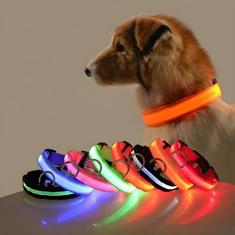 Dog Night Safety Glow In The Dark Collar