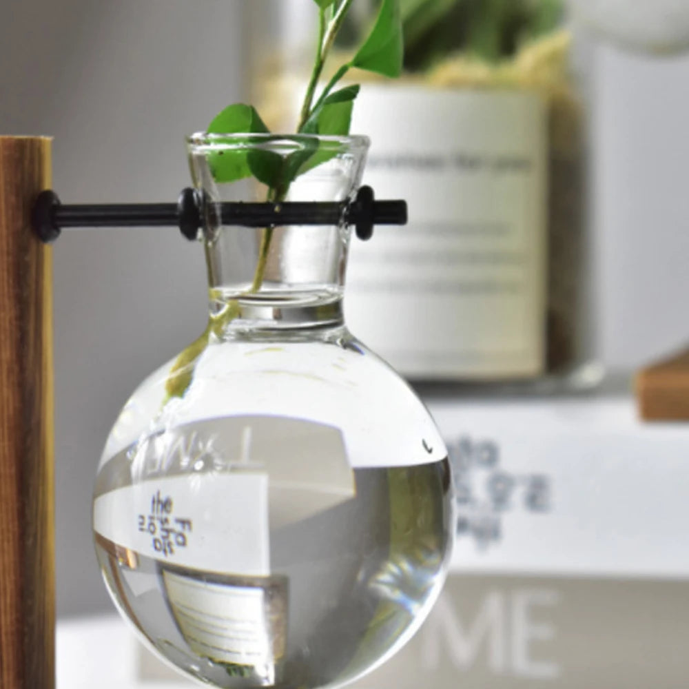 Desktop Planter Bulbs With Stand