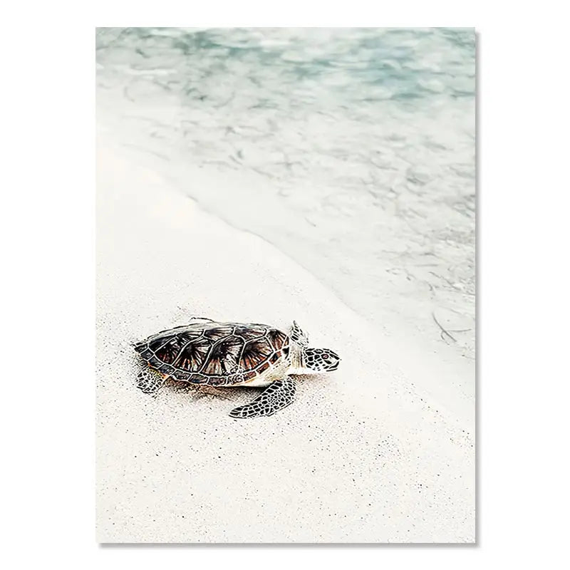 Beaches Weaves Ocean Seagulls Turtles Beautiful Canvas Paintings