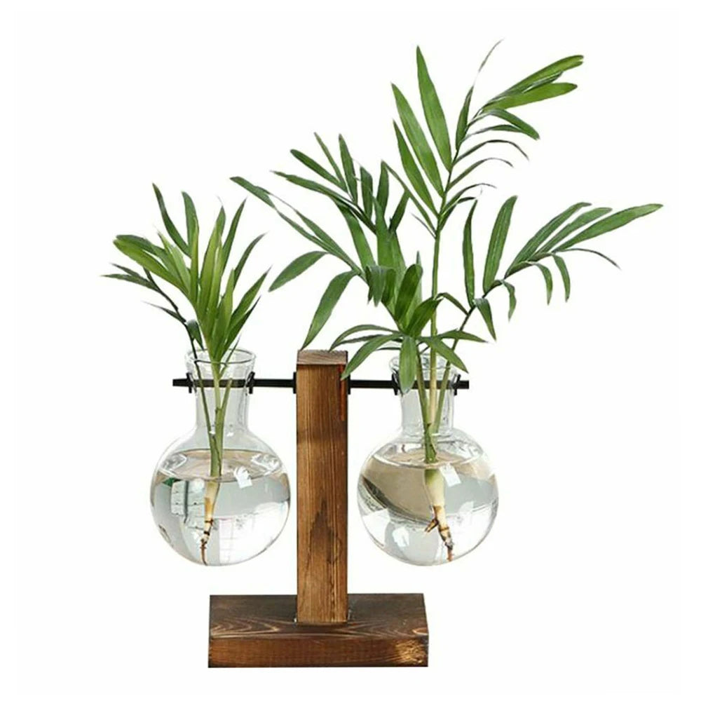 Desktop Planter Bulbs With Stand