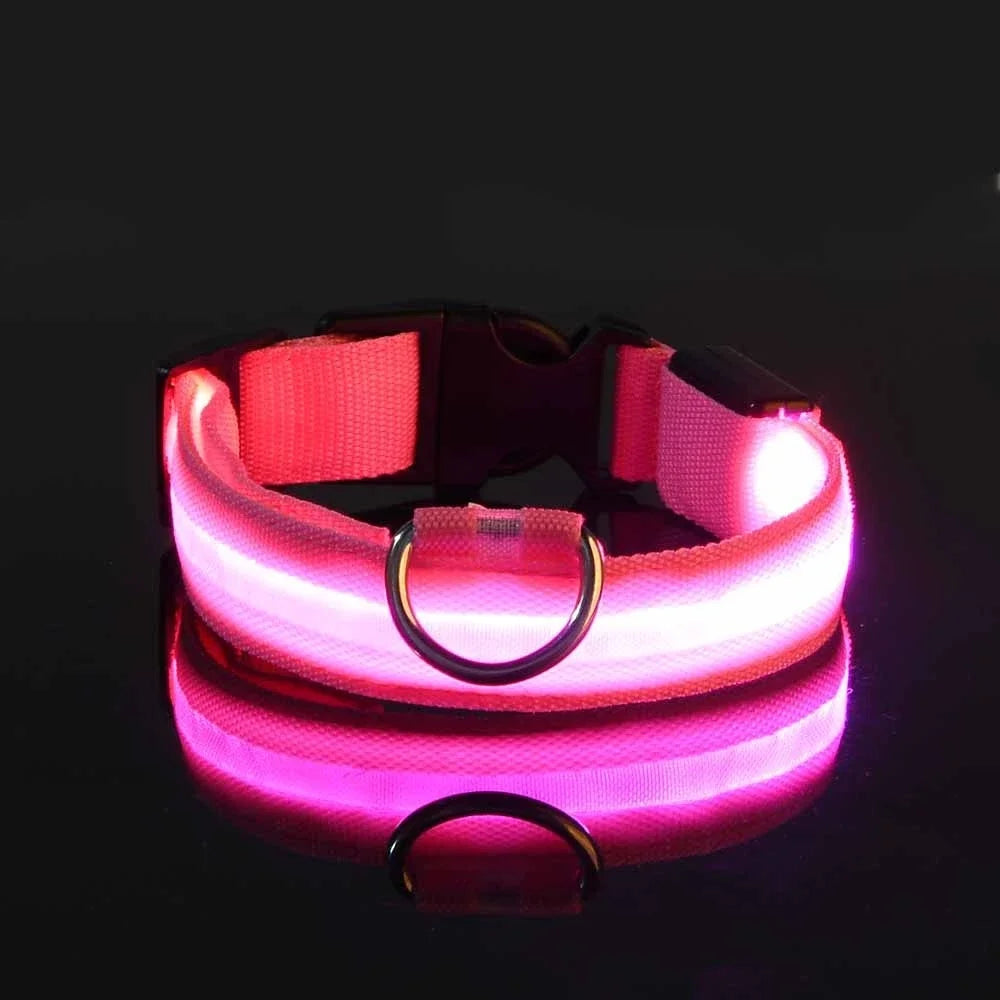 Dog Night Safety Glow In The Dark Collar