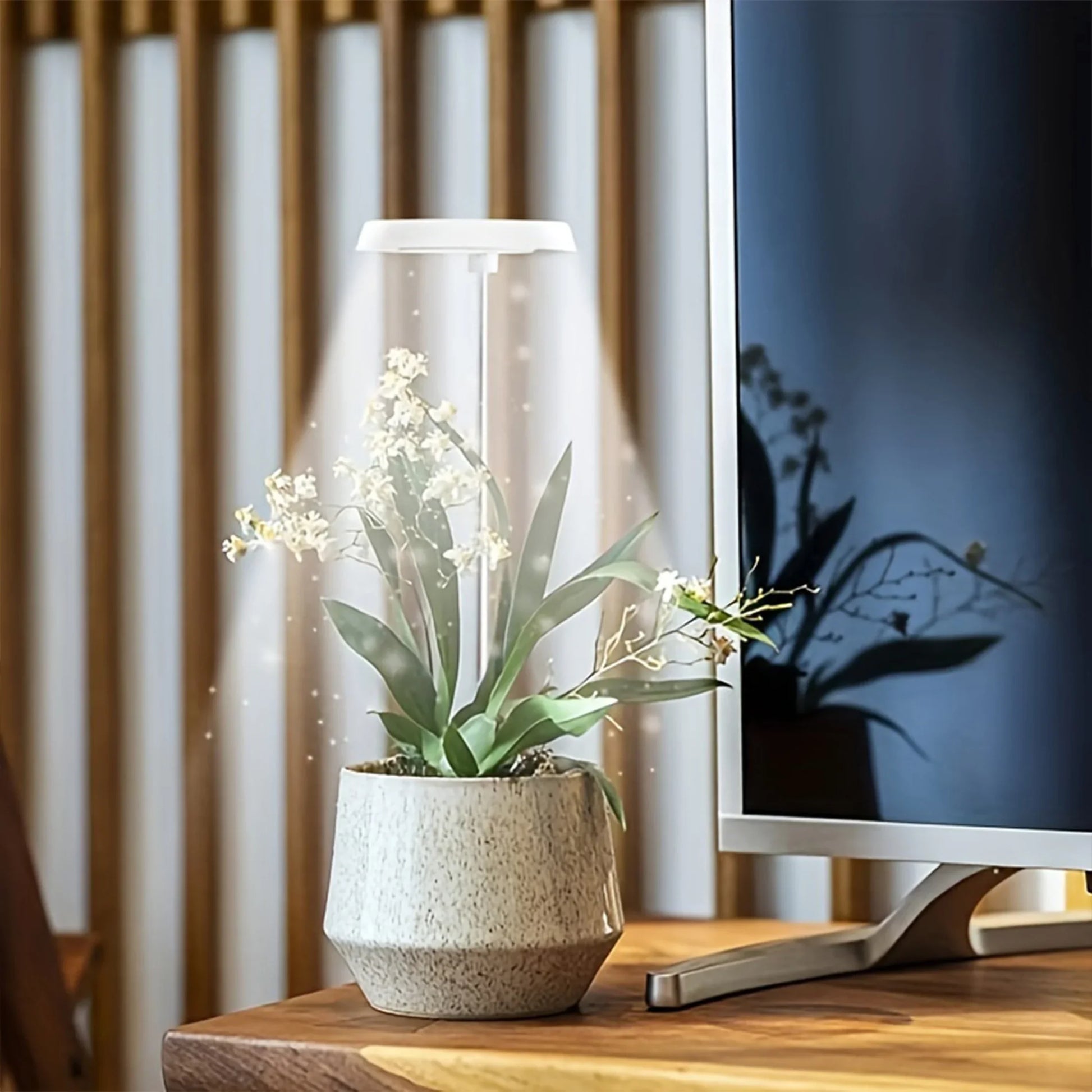 Full Spectrum LED Grow Light Indoor Adjustable, Timer, USB Powered