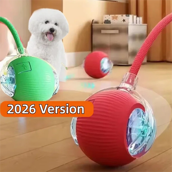 Automatic Rolling Dog Ball Toy, Rechargeable