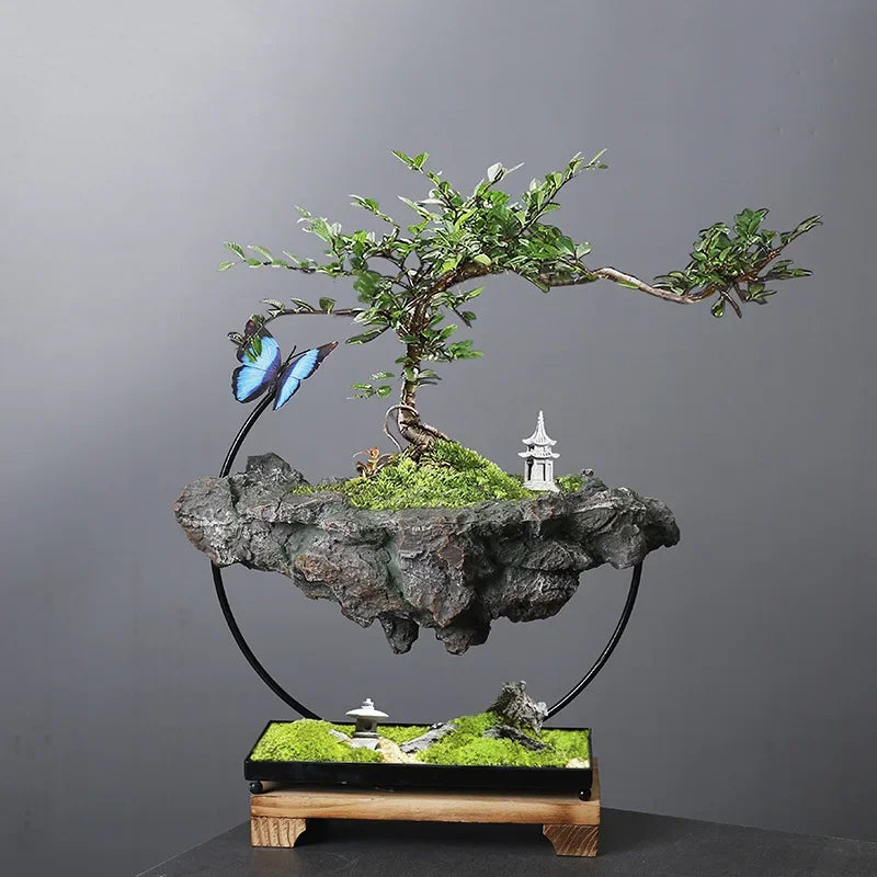 Home Decoration, Suspended Moss Basin, Plants