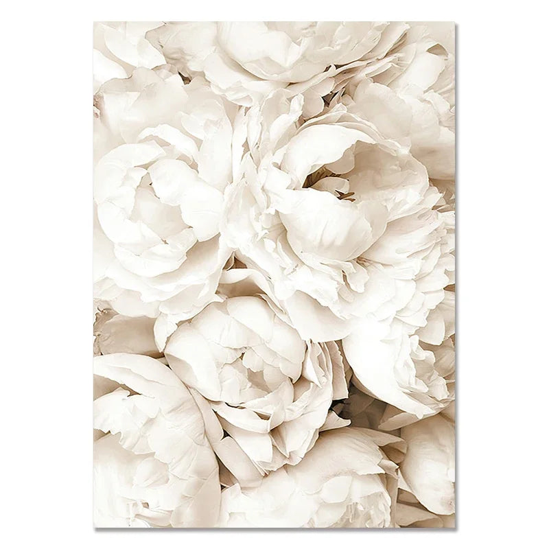Canvas Paintings White Shells, Beach, Flowers, Posters and Prints