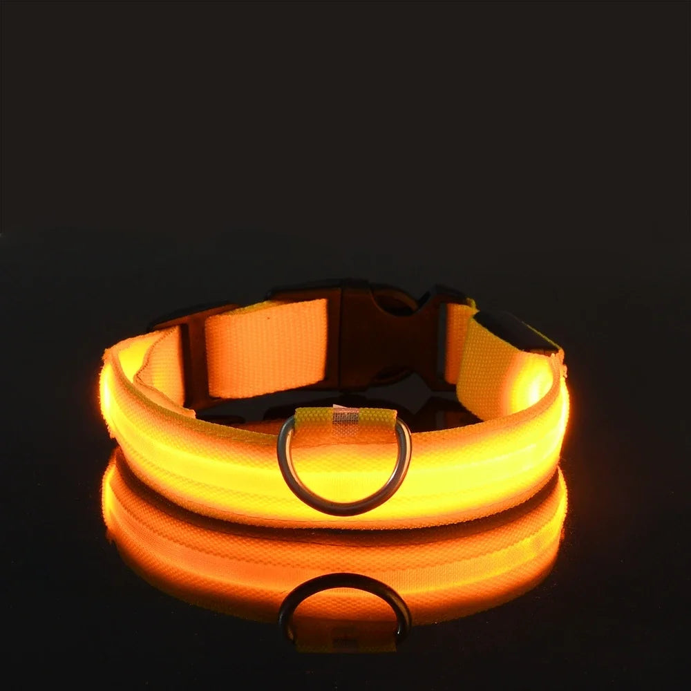 Dog Night Safety Glow In The Dark Collar