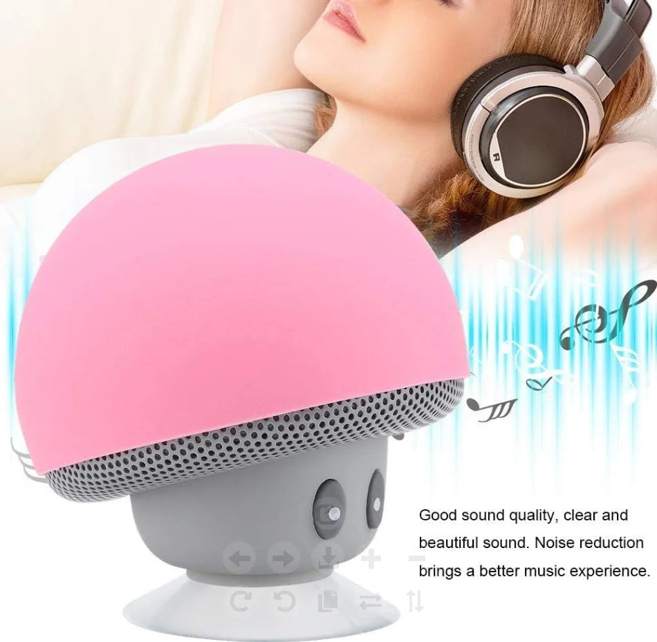 High Quality Wireless Bluetooth Speaker 30ft Wireless Range, Subwoofer with Suction Cup
