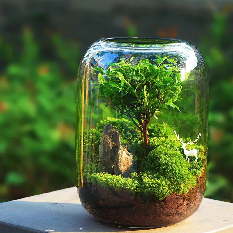 1PC Glass Vase, Uses Fish Tank, Moss Garden Display