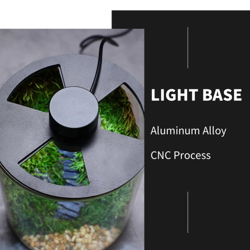 Micro Landscape Ecological Desktop Glass Plant Terrarium with Grow Light
