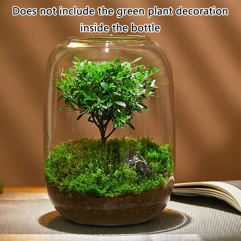 1PC Glass Vase, Uses Fish Tank, Moss Garden Display