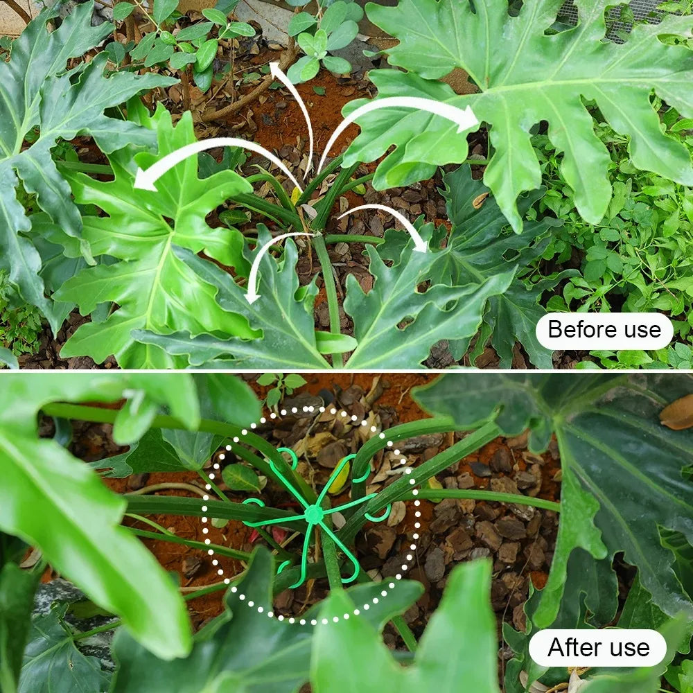 Plant Supports for Climbing Plants, Supports for Plant Stems, No Stake Trellis