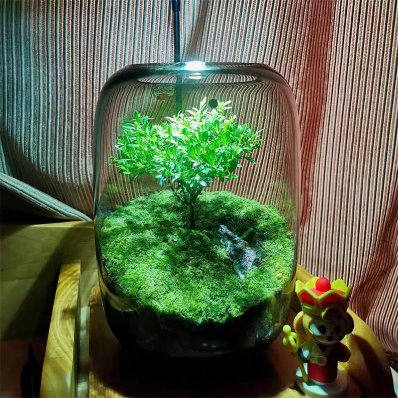 Creative Grey Glass Bottle, Landscaping Moss or Succulent Hydroponic Terrarium