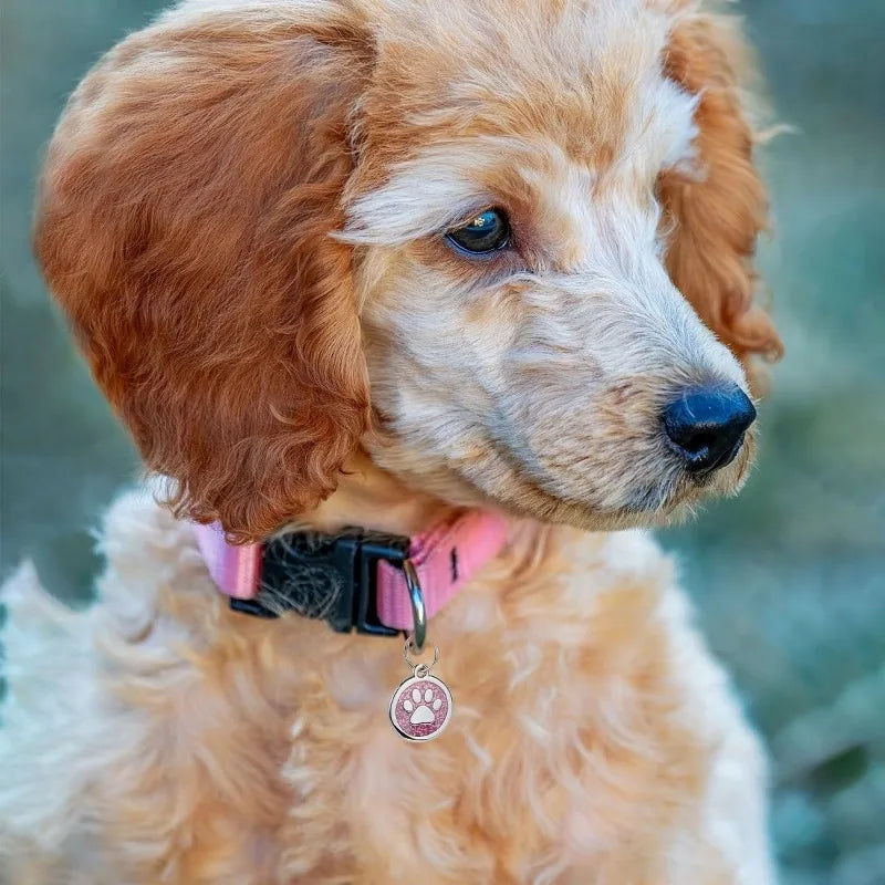 Pet ID Tag Free Engraving Personalized For Dogs and Cats